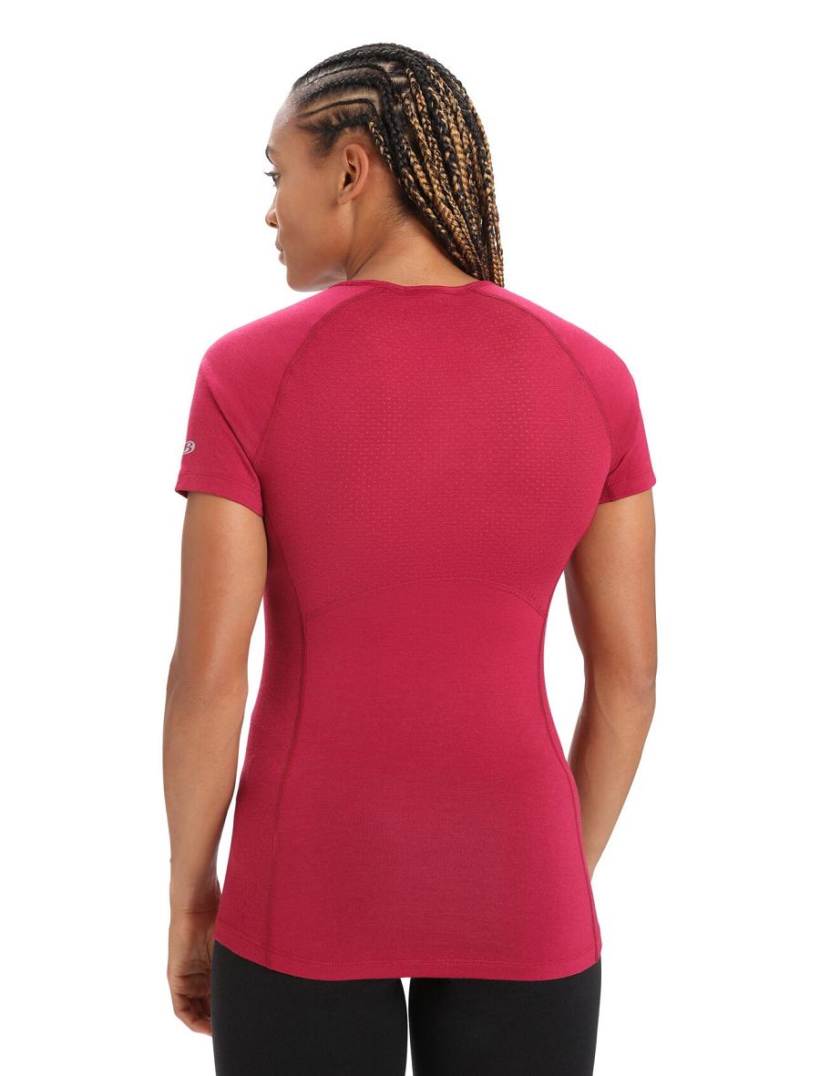 Base Layers Icebreaker BodyfitZone™ Merino 150 Zone Corta Sleeve Crewe Thermal Top Femme Rose | FR 1889FDNM